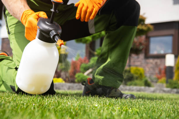 Best Pest Control Treatment  in Britt, IA