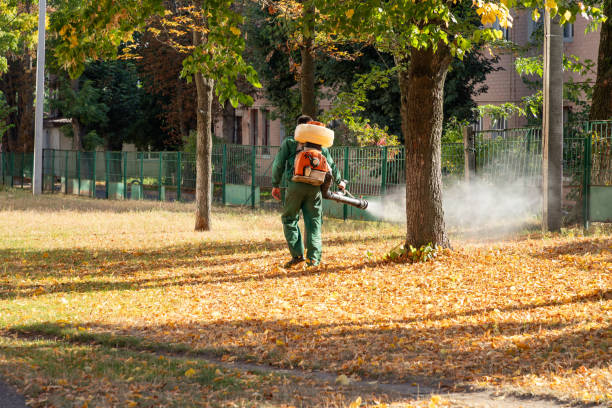 Best Insect Control  in Britt, IA